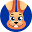 jackrabbitclass