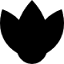 lindacoussement