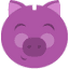 piggy.co