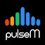 pulsem